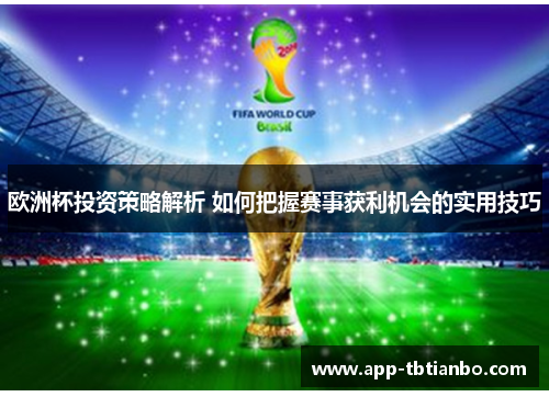 欧洲杯投资策略解析 如何把握赛事获利机会的实用技巧