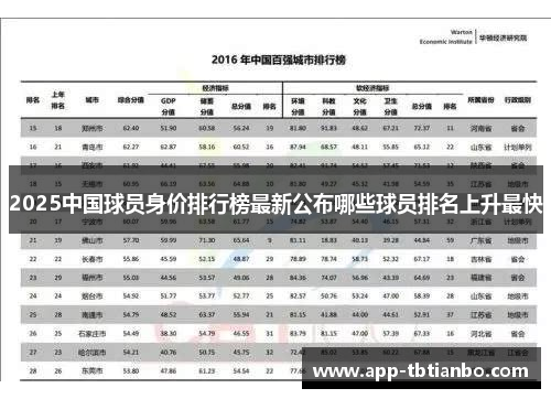 2025中国球员身价排行榜最新公布哪些球员排名上升最快