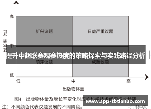 提升中超联赛观赛热度的策略探索与实践路径分析